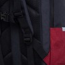 Рюкзак GRIZZLY RD-341-2 черный - красный