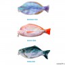 Пенал Рыба Fresh fish (Vobla)