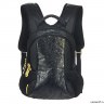 Детский рюкзак Grizzly Bullion Black Rs-430-3