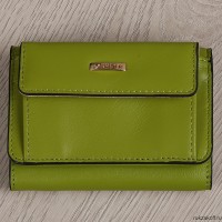 Женский кошелек FABRETTI FA011LMB-150 светло-зеленый