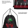 Ранец GROOC 15-022 + мешок + сумка-пенал