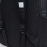 Рюкзак школьный GRIZZLY RB-251-3/1 (/1 черный)