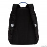 Рюкзак школьный GRIZZLY RB-251-4/1 (/1 черный)