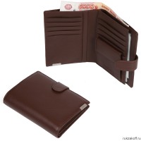 Мужской кошелёк FABRETTI 53001D-12 коричневый