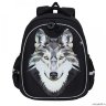 Рюкзак школьный Grizzly RAz-087-3/1 (/1 черный)